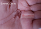 pernos de la soldadura del CD del aislamiento del acero de carbono de 1mmx10 milímetro para los instrumentos de precisión